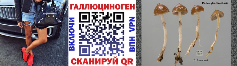 Псилоцибиновые грибы GOLDEN TEACHER  Звенигово 